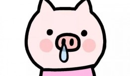 猪窝漫画,趣味横生的动物世界